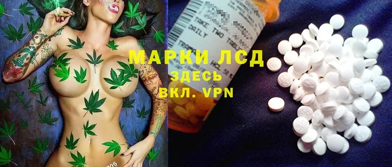 наркотики  площадка состав  LSD-25 экстази ecstasy  Ногинск 